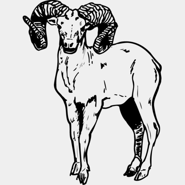 RAM006 Thumbnail