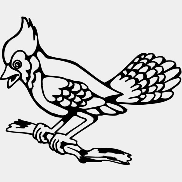 BIRD035 Thumbnail