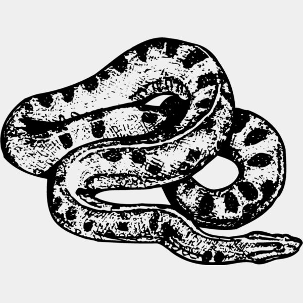 SNAKE010 Thumbnail