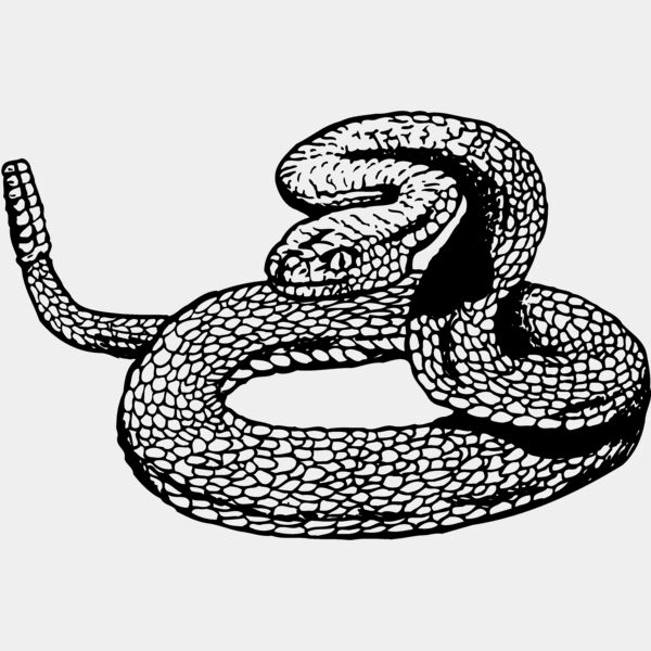 SNAKE012 Thumbnail