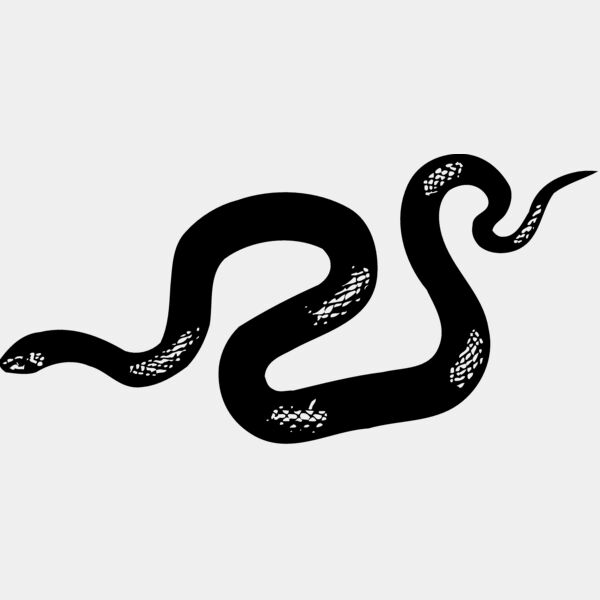 SNAKE013 Thumbnail
