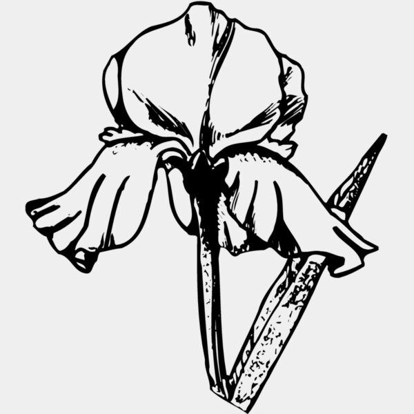 FLOWER11 Thumbnail