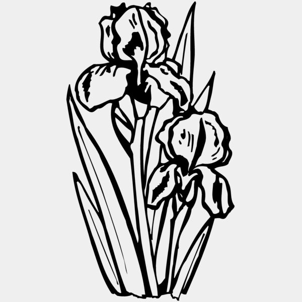 FLOWER20 Thumbnail