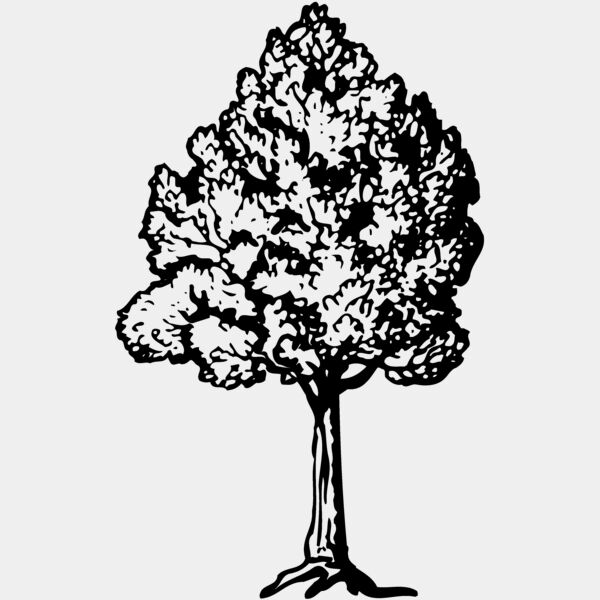 TREE0017 Thumbnail