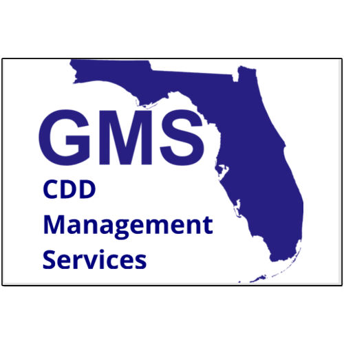 GMS CDD  -  12"x18" 30 mil Car Magnet (2-Pack) Thumbnail