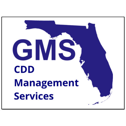 GMS CDD  - 9"x12" 30 mil Car Magnet (2-Pack) Thumbnail