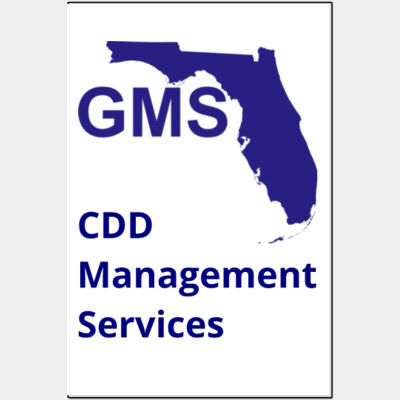 GMS CDD  - 24"x36" 30 mil Car Magnet (2-Pack) Thumbnail
