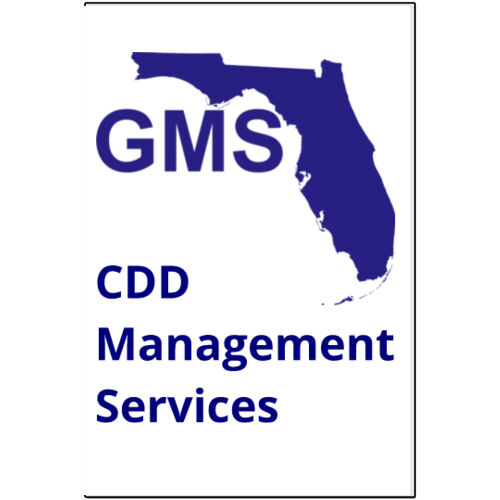 GMS CDD  - 24"x36" 30 mil Car Magnet (2-Pack) Thumbnail