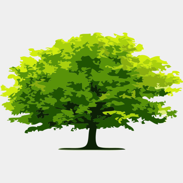 Tree 4 Thumbnail